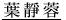 葉靜蓉